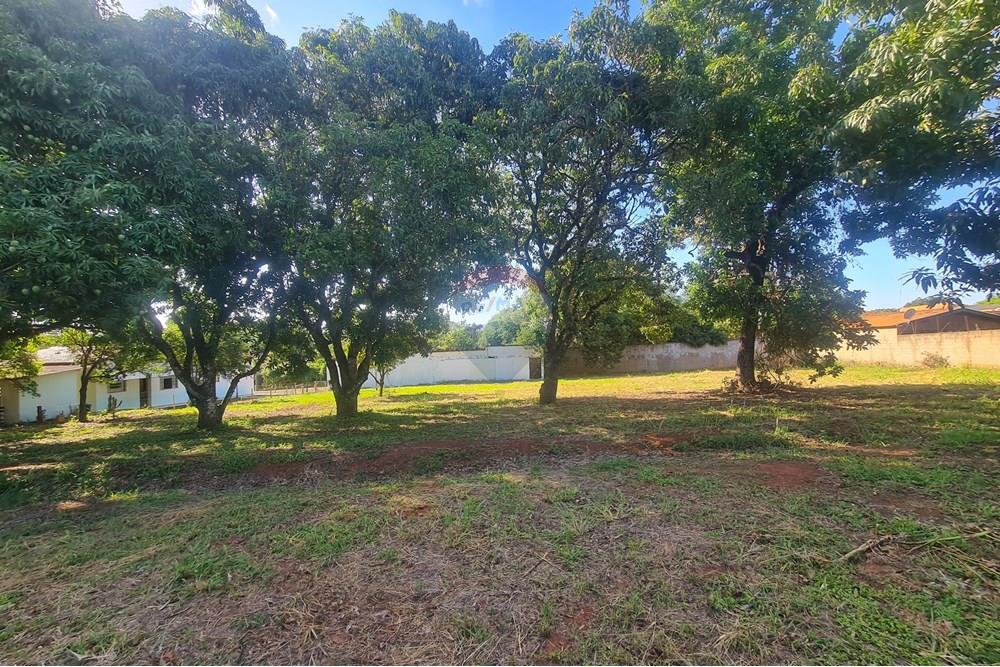 Agro - Alugar - Artur Nogueira , São Paulo - 20251120_160153.jpg - 690671009-93