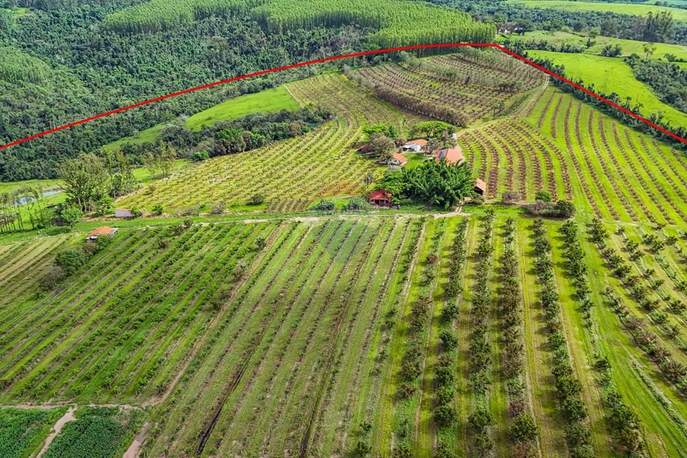 Fazenda - Venda - Analândia , São Paulo - Tratada - Drone-26.jpg - 690691016-305