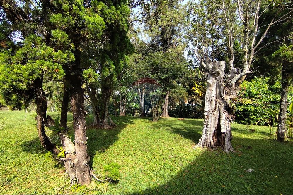 Chácara / Sítio / Fazenda - Venda - Águas de Lindóia , São Paulo - 1750451210035.jpg - 690521007-293