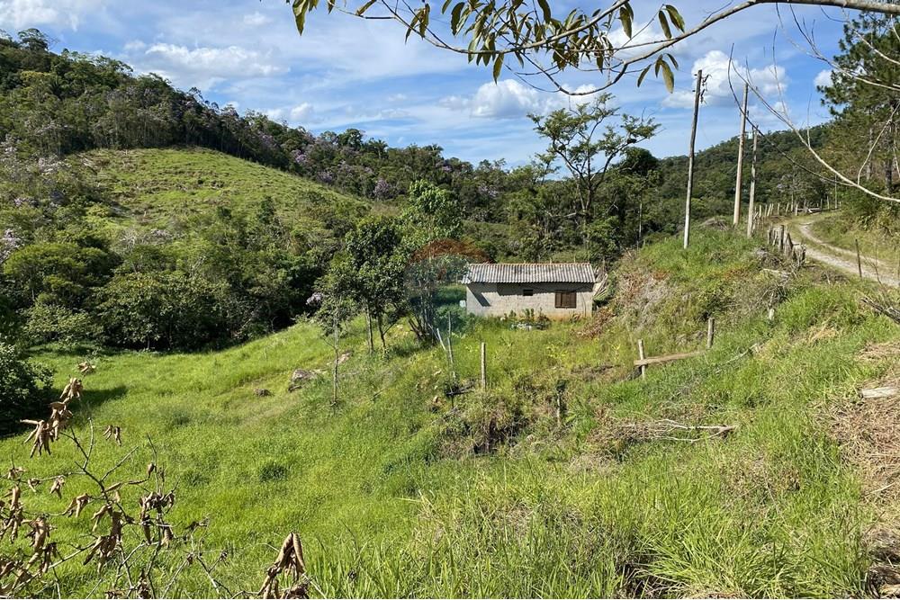 Fazenda - Venda - Jacupiranga , São Paulo - IMG_6254.jpeg - 690061038-17