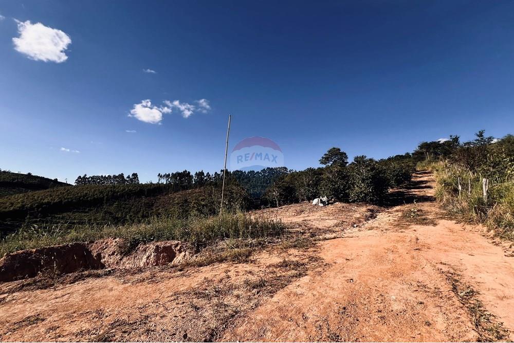 Chácara / Sítio / Fazenda - Venda - Serra Negra , São Paulo - IMG_4691.jpg - 690291056-34