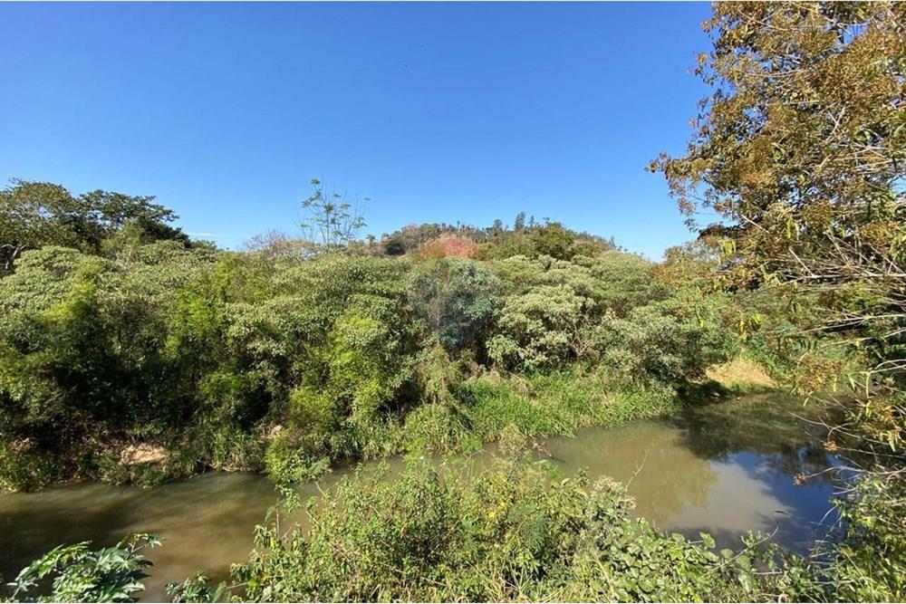 Chácara / Sítio / Fazenda - Venda - Jacutinga , Minas Gerais - WhatsApp Image 2025-08-06 at 14.30.46.jpeg - 690291077-290