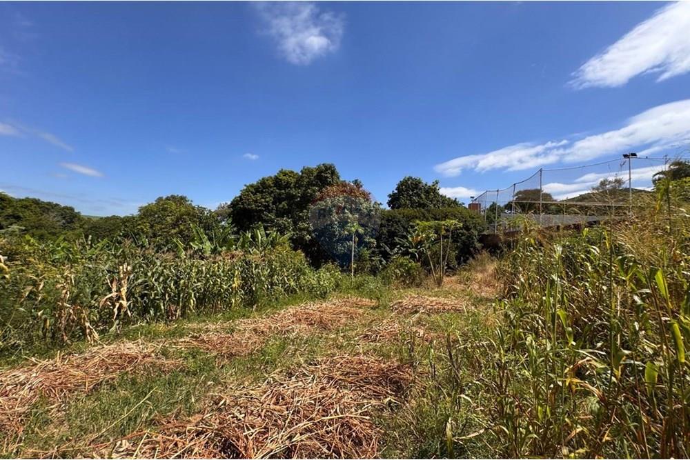 Chácara / Sítio / Fazenda - Venda - Capivari , São Paulo - foto 17.jpg - 690091006-483