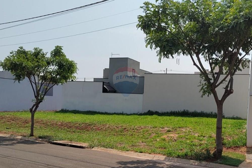 Terreno - Venda - Paulínia , São Paulo - PHOTO-2025-03-18-18-43-57.jpg - 690511140-12