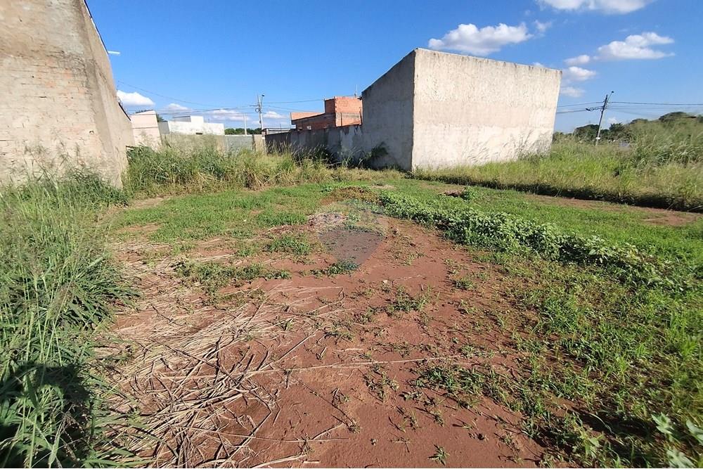 Terreno - Venda - Mogi Guaçu , São Paulo - IMG_20250430_153330.jpg - 690521005-80