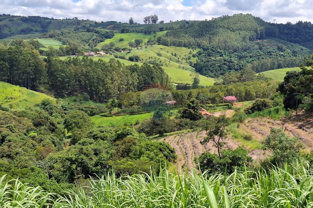 Chácara / Sítio / Fazenda - Venda - São Sebastião da Grama , São Paulo - 20260221_111846.jpg - 690681090-50