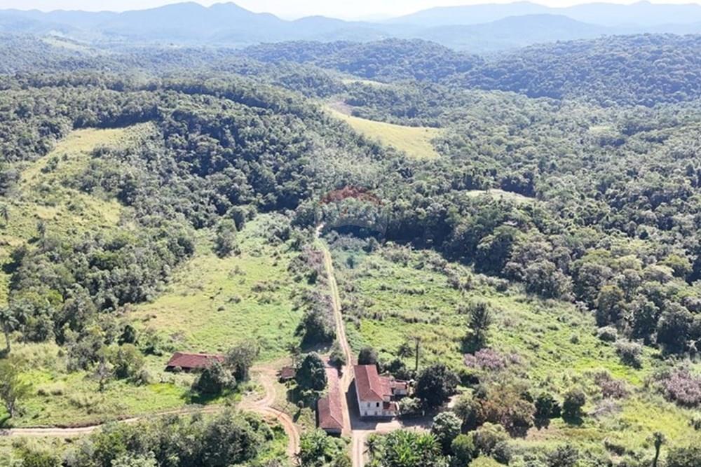 Fazenda - Venda - Miracatu , São Paulo - WhatsApp Image 2025-05-20 at 13.36.09.jpeg - 690061038-9