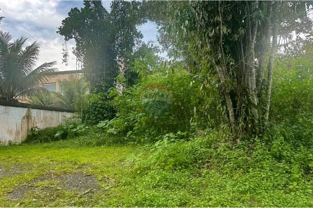 Terreno - Venda - Peruíbe , São Paulo - WhatsApp Image 2025-11-08 at 12.36.09.jpeg - 691111040-21