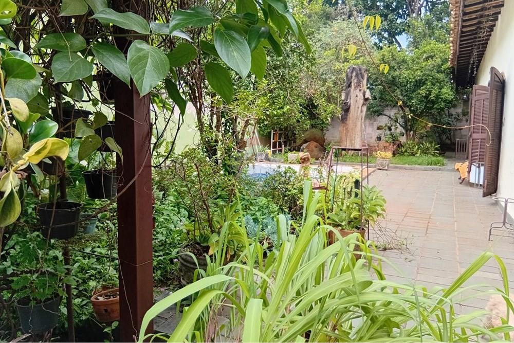 Chácara / Sítio / Fazenda - Venda - Campinas , São Paulo - 4a piscina.jpeg - 690331038-16