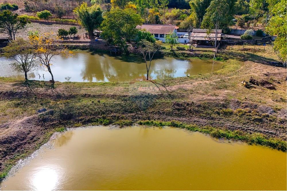 Chácara / Sítio / Fazenda - Venda - Santa Cruz da Conceição , São Paulo - Tratada-27.jpg - 690481001-177