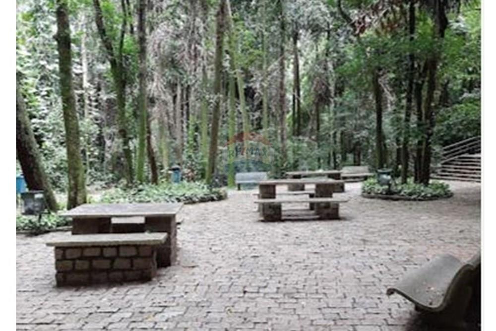 Terreno - Venda - Campinas , São Paulo - Bosque 1.JPG - 690541103-274