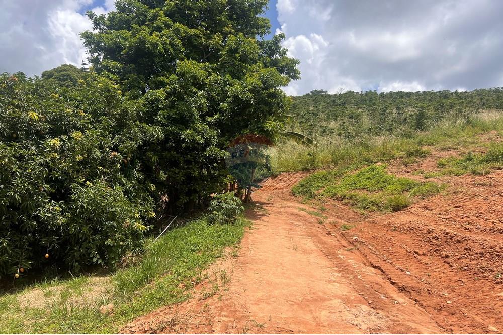 Chácara / Sítio / Fazenda - Venda - Serra Negra , São Paulo - IMG_8905.jpg - 690291056-34