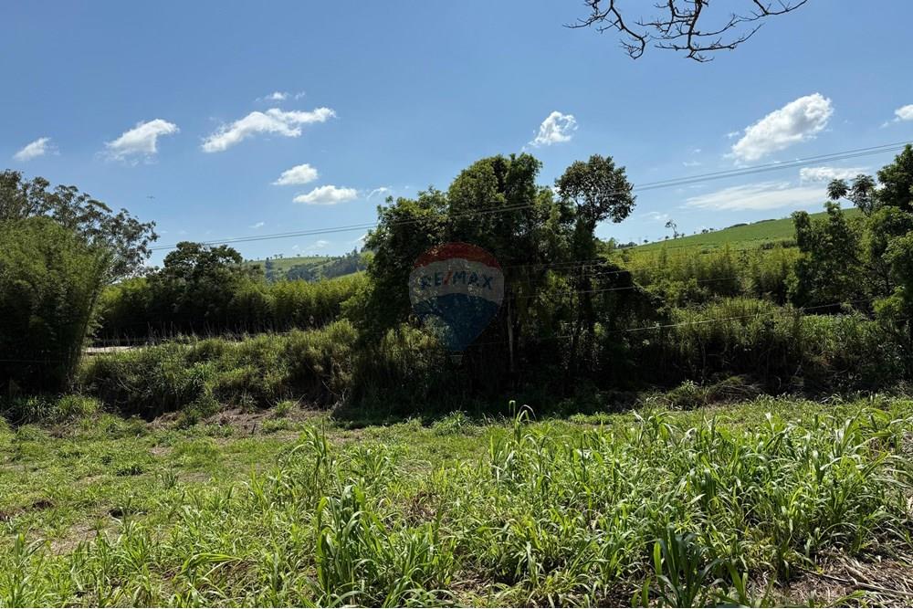 Terreno - Venda - Tuiuti , São Paulo - lote t 19.jpeg - 690041137-57
