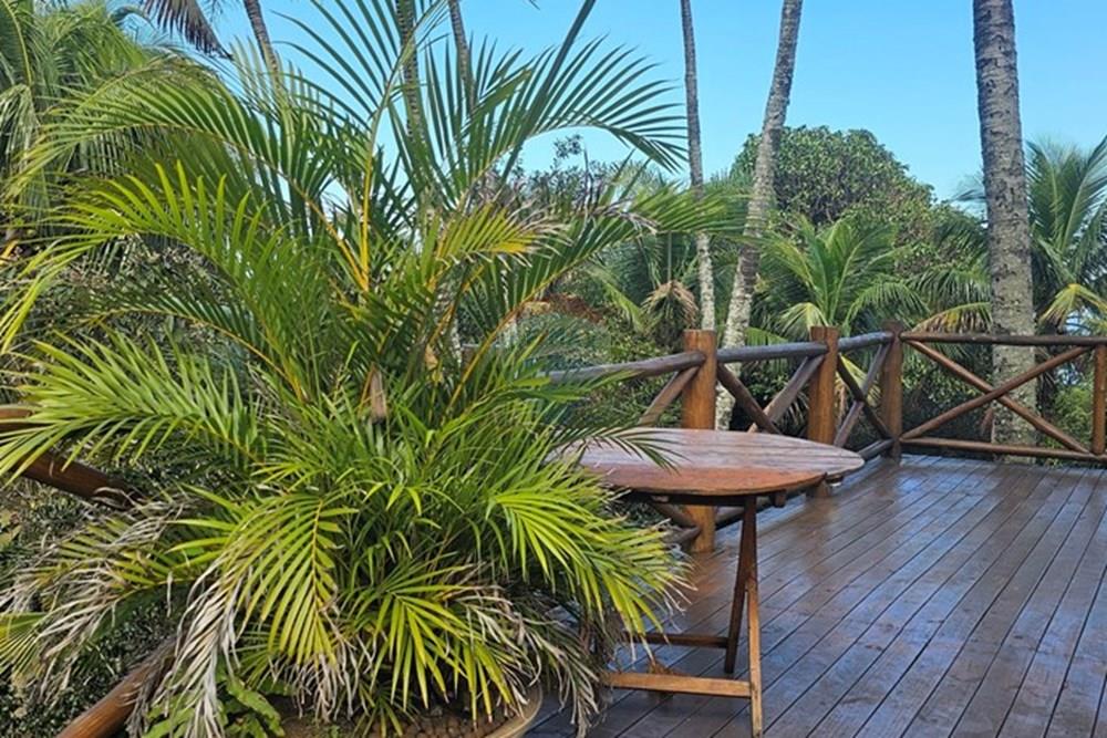 Casa - Venda - Ilhabela , São Paulo - 20250715_111242.jpg - 690341033-3