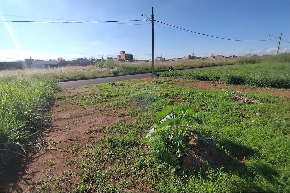 Terreno - Venda - Mogi Guaçu , São Paulo - IMG_20250430_153444.jpg - 690521005-80