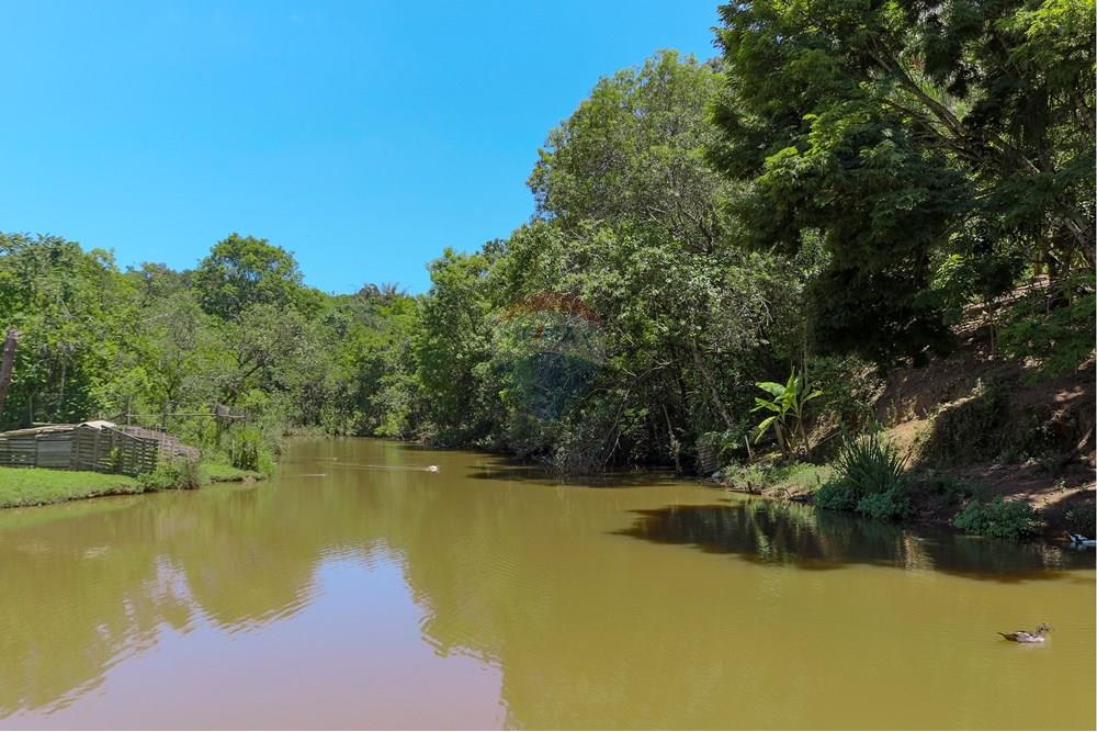 Chácara / Sítio / Fazenda - Venda - Jarinu , São Paulo - RINf-072.jpg - 690921112-9