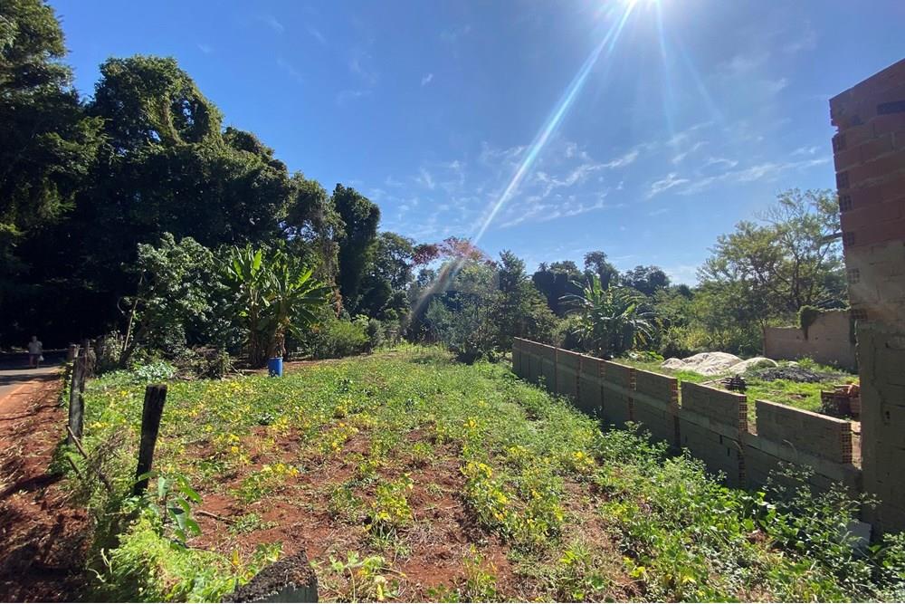 Terreno - Venda - Mogi Mirim , São Paulo - IMG_6552.JPEG - 690281041-98