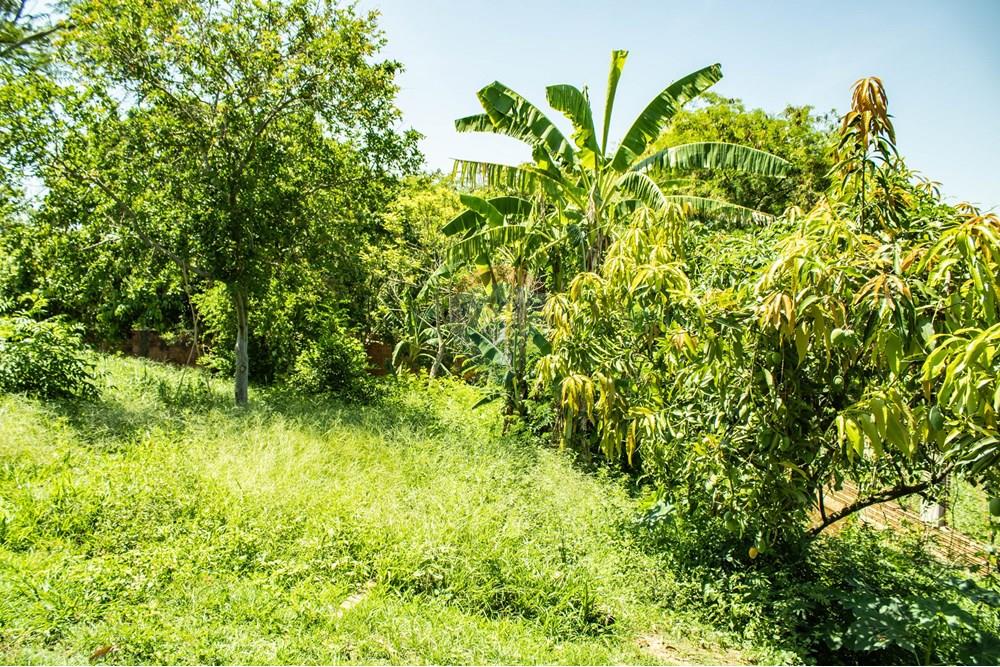 Terreno - Venda - Rio Claro , São Paulo - IMG_0254.jpg - 690811057-57