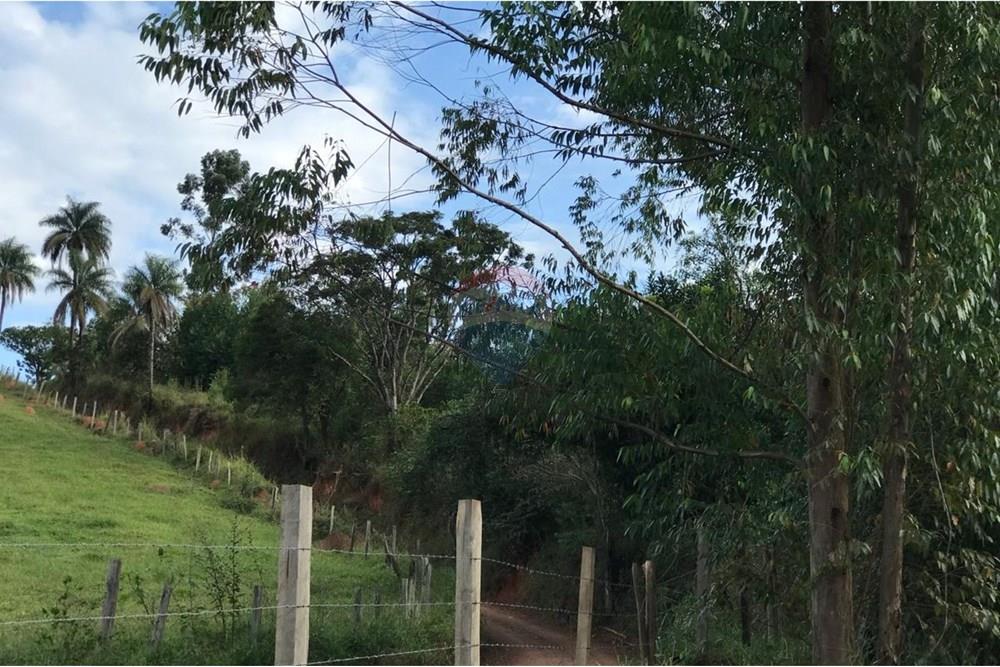 Chácara / Sítio / Fazenda - Venda - Socorro , São Paulo - IMG-20250520-WA0053.jpg - 690291056-39