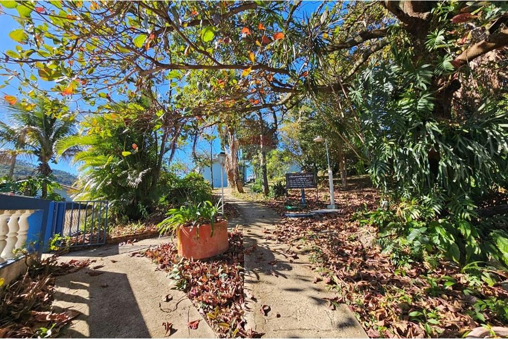 Chácara / Sítio / Fazenda - Venda - Serra Negra , São Paulo - photo_2025-08-10_17-01-39 (3).jpg - Quintal - 690291048-138