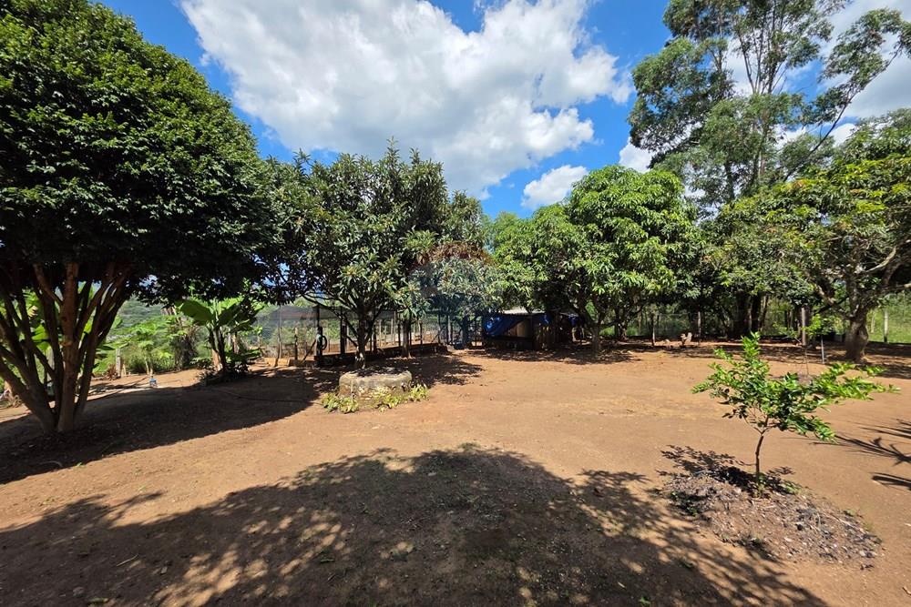 Chácara / Sítio / Fazenda - Venda - Bragança Paulista , São Paulo - 20260324_132252.jpg - 690041041-57