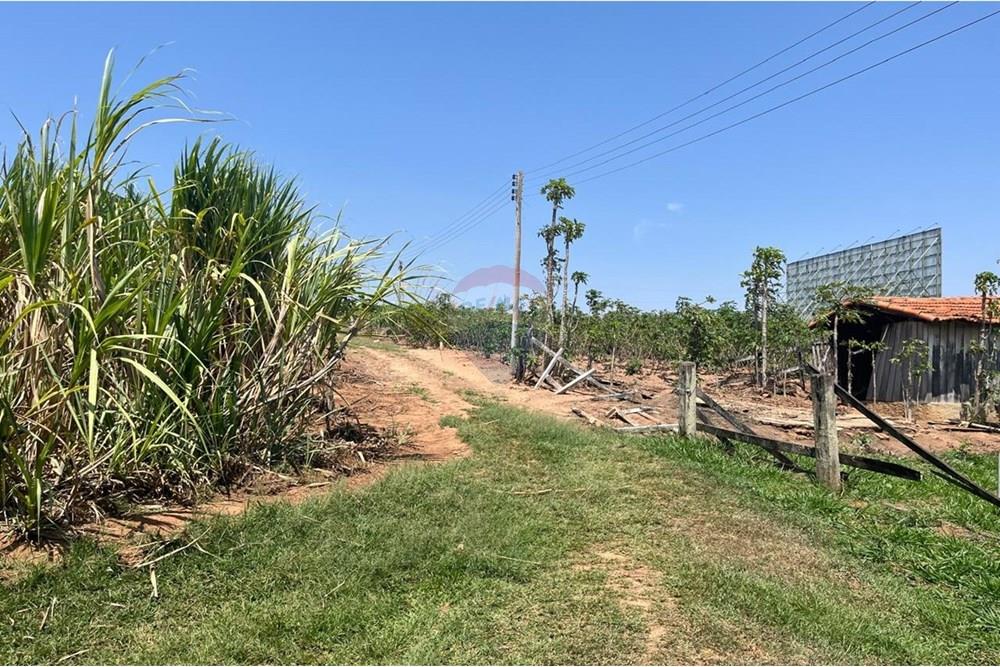 Chácara / Sítio / Fazenda - Venda - Valinhos , São Paulo - WhatsApp Image 2025-10-27 at 09.33.48 (4).jpeg - 691181010-8