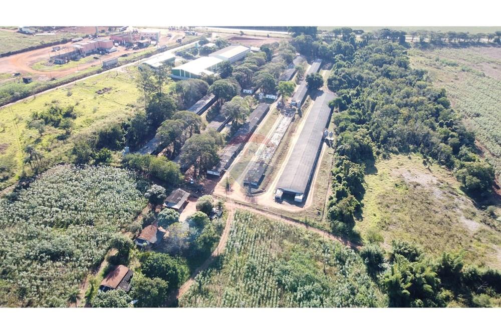 Chácara / Sítio / Fazenda - Venda - Conchal , São Paulo - DJI_0241.JPG - 690751019-291