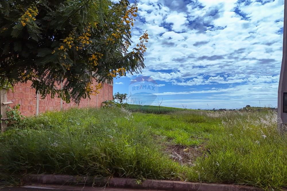 Terreno - Venda - Araras , São Paulo - Tratada - Drone-2.jpg - 690691009-189