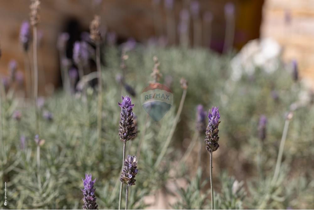 Casa de Condomínio - Venda - Vinhedo , São Paulo - TKD-9920.jpg - 690941025-167