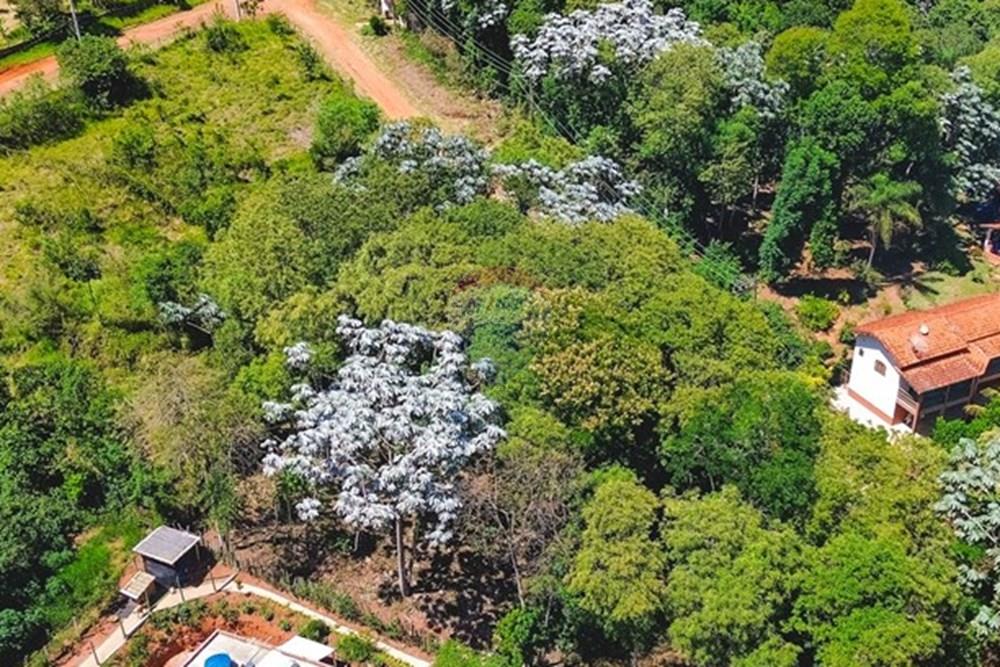 Terreno - Venda - Piracaia , São Paulo - dji_fly_20251127_100434_909_1764648862072_photo_optimized.jpg - 691011009-44