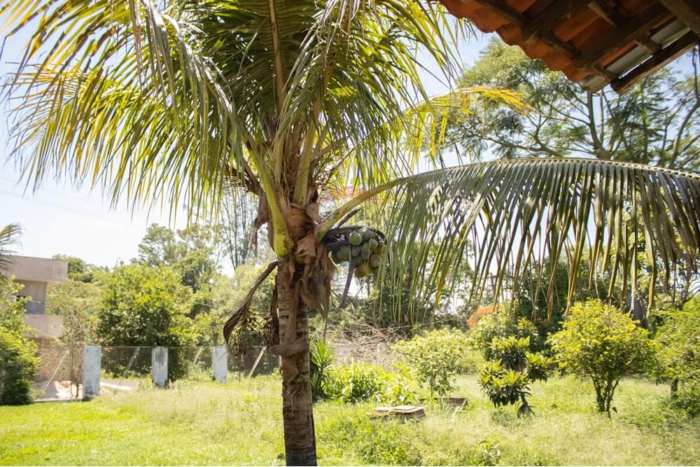 Chácara / Sítio / Fazenda - Venda - Rio Claro , São Paulo - IMG_0267.jpg - 690811057-32