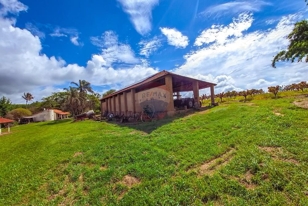 Fazenda - Venda - Analândia , São Paulo - Tratada-11.jpg - 690691016-305