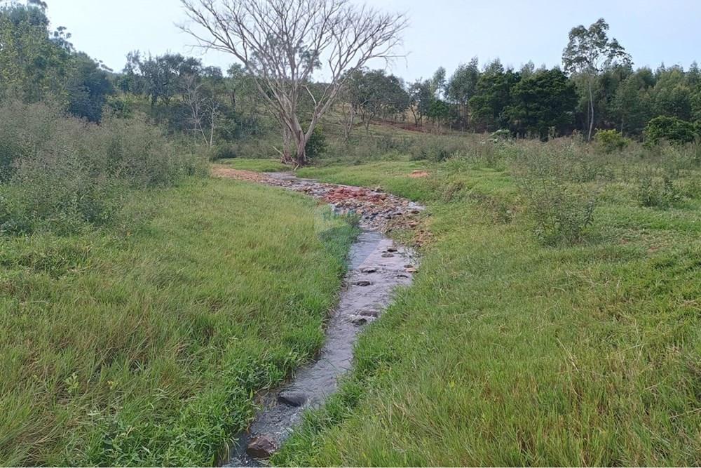 Chácara / Sítio / Fazenda - Venda - Santa Maria da Serra , São Paulo - 66ec8ffc-c051-470d-b3a9-78dde485cbcd.jpg - 690571076-32