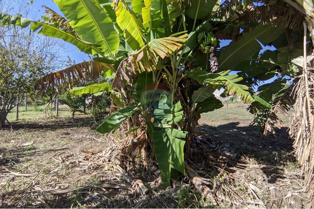 Terreno - Venda - Mogi Guaçu , São Paulo - 8.jpeg - 690521018-187