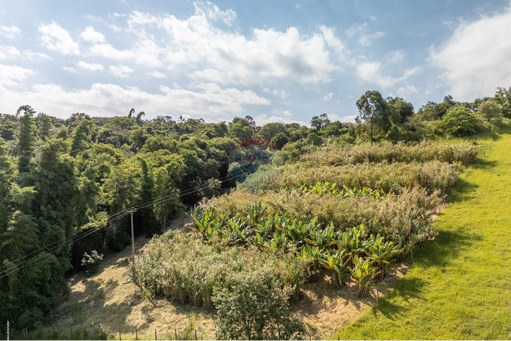 Chácara / Sítio / Fazenda - Venda - Itatiba , São Paulo - TKD-6927.jpg - 690661013-235