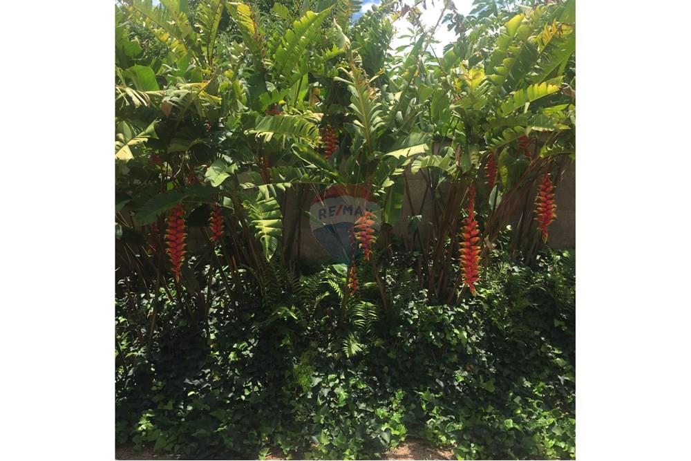 Chácara / Sítio / Fazenda - Venda - Jundiaí , São Paulo - FOTO ANA LAURA 30.jpeg - 690361043-2