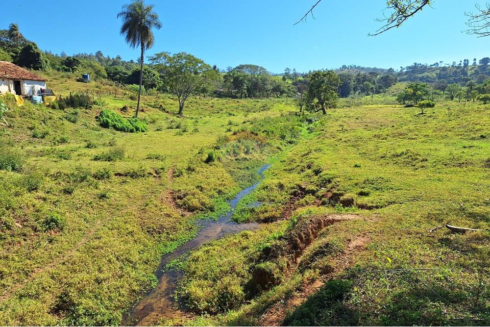 Chácara / Sítio / Fazenda - Venda - Itapira , São Paulo - 20250626_110647.jpg - 690751048-290