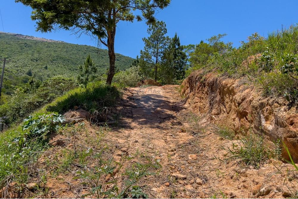 Terreno - Venda - Atibaia , São Paulo - IMG_6599.jpg - Quintal - 690471003-129