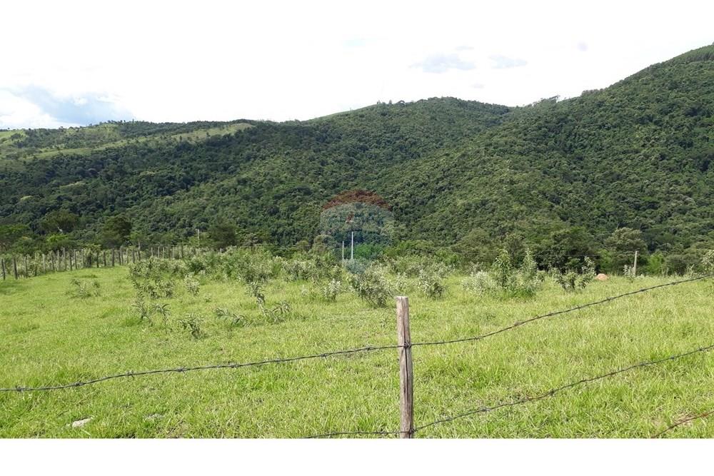Fazenda - Venda - Serra Negra , São Paulo - 20250211_151240.jpg - 690291056-26