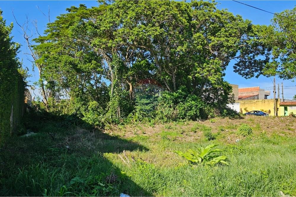 Terreno - Venda - Peruíbe , São Paulo - WhatsApp Image 2026-01-19 at 14.44.19 (1).jpeg - 691111010-108