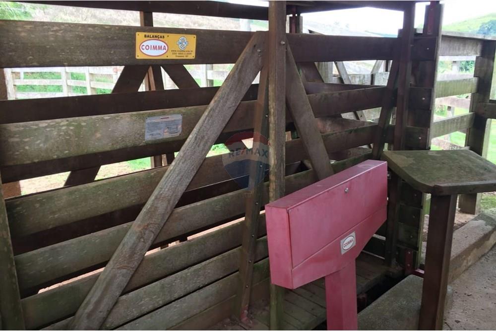 Fazenda - Venda - Socorro , São Paulo - WhatsApp Image 2025-05-14 at 13.19.37 (1).jpeg - 690521014-114