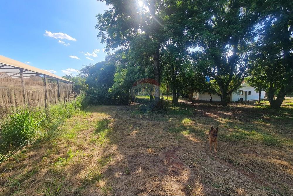 Agro - Alugar - Artur Nogueira , São Paulo - 20251120_160035.jpg - 690671009-93