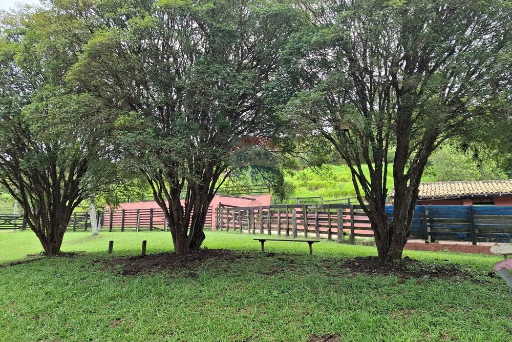 Chácara / Sítio / Fazenda - Venda - Amparo , São Paulo - 20260121_102949.jpg - 690681090-49