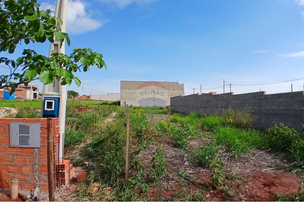 Terreno - Venda - Hortolândia , São Paulo - 20251114_154019.jpg - 690531094-18