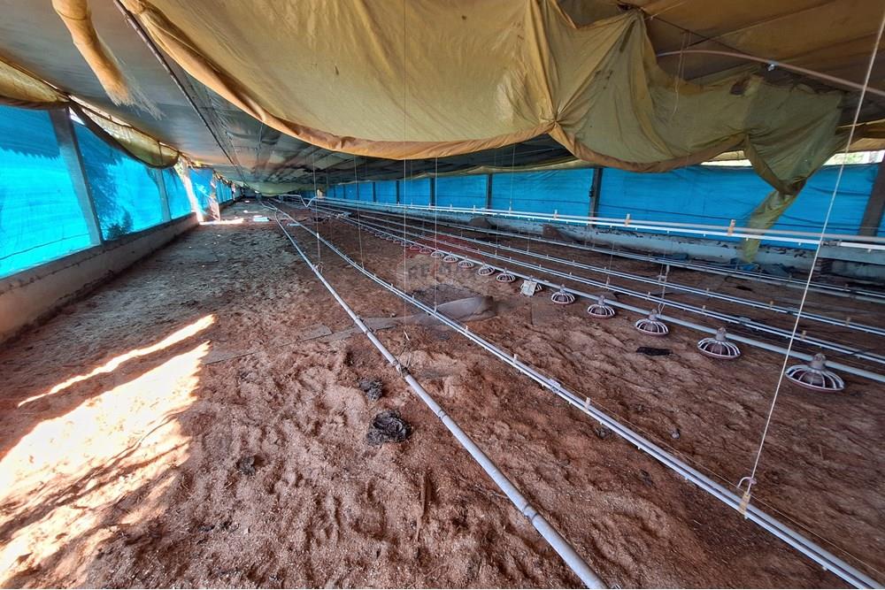 Chácara / Sítio / Fazenda - Venda - Itapira , São Paulo - 20250626_095625.jpg - 690751048-290