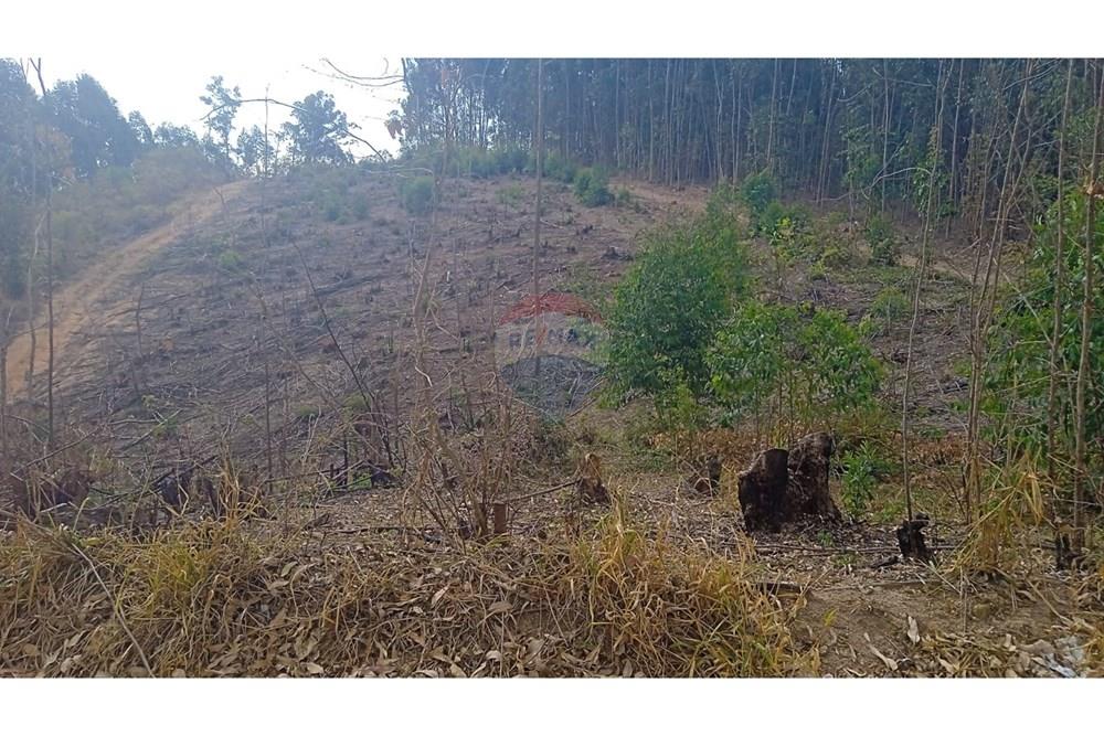 Terreno - Venda - Socorro , São Paulo - terreno lucas2.jpg - 690041008-23