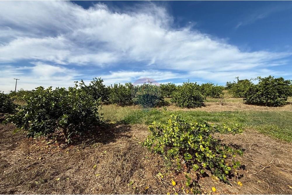 Chácara / Sítio / Fazenda - Venda - Itapira , São Paulo - WhatsApp Image 2025-07-07 at 10.48.43.jpeg - 690521014-143