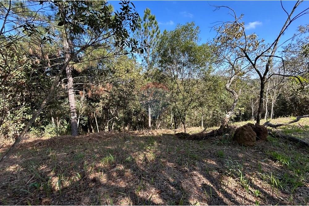 Terreno - Venda - Jarinu , São Paulo - IMG-20250819-WA0034.jpg - 690661027-137