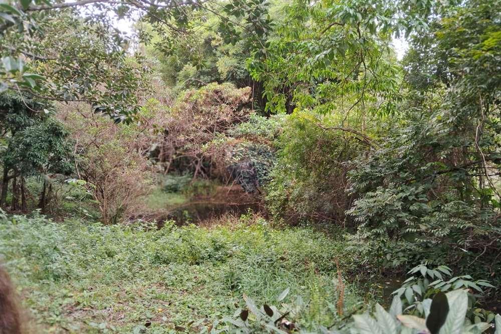 Chácara / Sítio / Fazenda - Venda - Valinhos , São Paulo - foto 17.jpg - 690851076-164