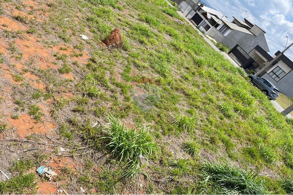 Terreno - Venda - Bragança Paulista , São Paulo - IMG-20251014-WA0044.jpg - 690041101-13